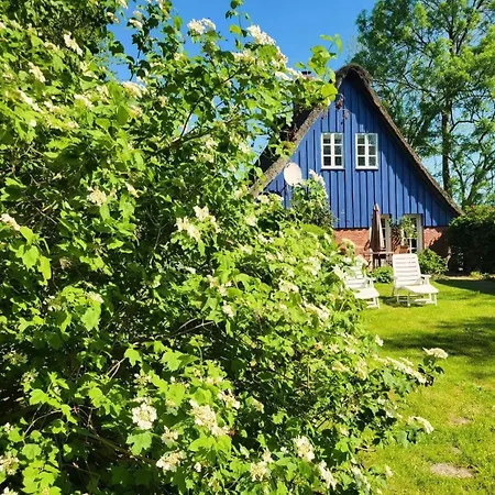 Blaue Reetdachkate Am Deich *