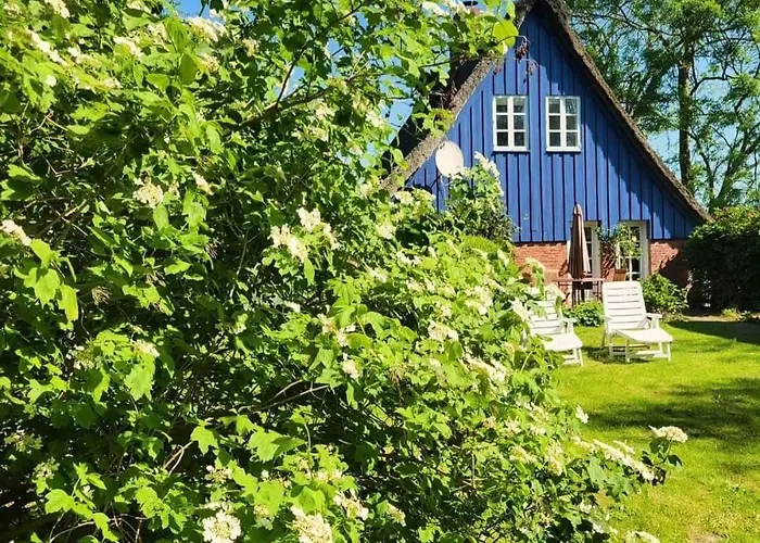 Blaue Reetdachkate Am Deich *